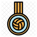 Volleyball Medal  Icon