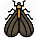 Aus Symbol
