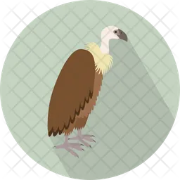 Vulture  Icon