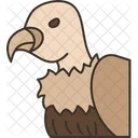 Vulture  Icon