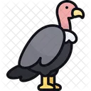 Vulture Animal Bird Icon