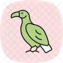 Vulture Bird Scavenger Icon