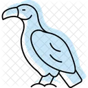 Vulture Bird Scavenger Icon