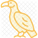 Vulture Bird Scavenger Icon