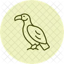 Vulture Bird Scavenger Icon