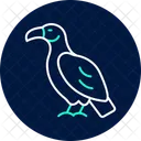 Vulture Bird Scavenger Icon