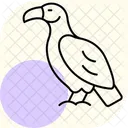 Vulture Bird Scavenger Icon