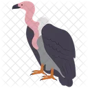 Vulture Wild Wildlife Icon