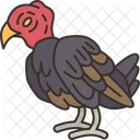 Vultures Bird Scavenger Icon