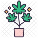 Cannabis-Wachstum  Symbol