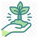 Wachstumspflanze  Symbol