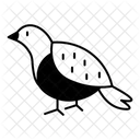 Symbol