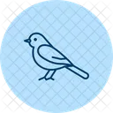Wagtail Bird Small Icon