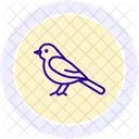 Wagtail Bird Small Icon