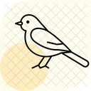 Wagtail Bird Small Icon