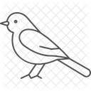 Wagtail Bird Small Icon