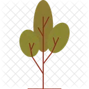 Wald Symbol Symbol