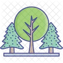 Wald Grun Landschaft Icon