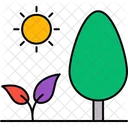 Natur Baum Pflanze Symbol