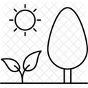 Natur Baum Pflanze Symbol