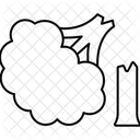  Symbol