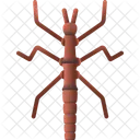 Walking stick  Icon