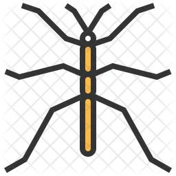Walkingstick Icon