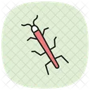 Walkingstick Insect Camouflage Icon