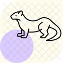 Wallaby Icon