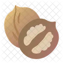 Wallnut Icon