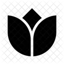 Wallpaper Background Decoration Icon