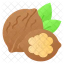 Walnut Dryfruit Food Icon