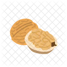 Walnut  Icon