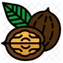 Walnut Nut Nuts Icon