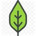 Walnut Leaf Nature Icon