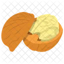 Walnut Nut Dry Icon