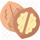 Walnut Seed Food Icon