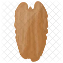 Walnut Nut Seed Icon