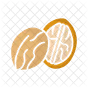 Walnut Nut Shell Icon