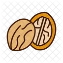 Walnut Nut Shell Icon