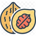 Walnut Nut Nutwood Icon