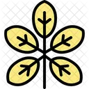 Walnut leaf  Icon