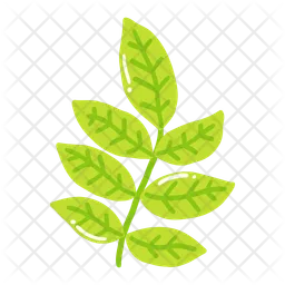 Walnut leaf  Icon