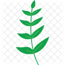 Walnut Leaf  Icon