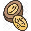 Walnuts Nut Kernel Icon