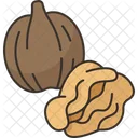 Walnuts Kernel Food Icon