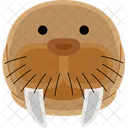 Walrus Animal Sea Icon