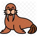 Walrus Carnivore Seal Icon
