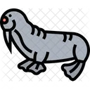 Walrus  Icon