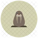 Walrus Animal Icon